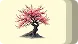 Blooming Sakura Wallet Set of 3 card design